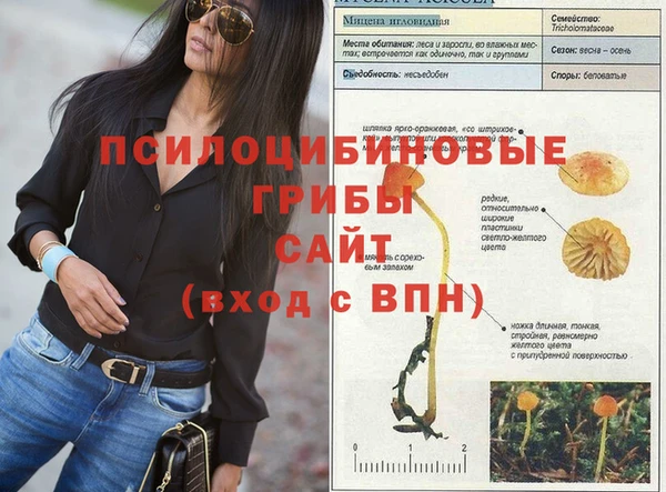 бошки Осинники