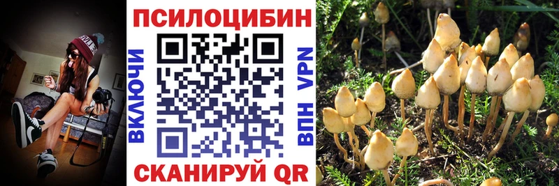 Псилоцибиновые грибы прущие грибы  Хасавюрт 